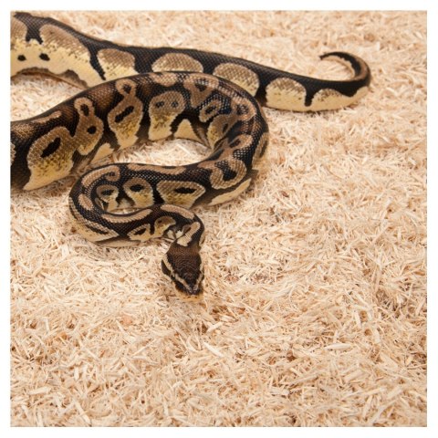 Repti-Zoo Aspen Snake Bedding - podłoże włókna topoli 500 g Repti-Zoo