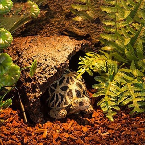Repti-Zoo Pine Bark 4l - kora Repti-Zoo