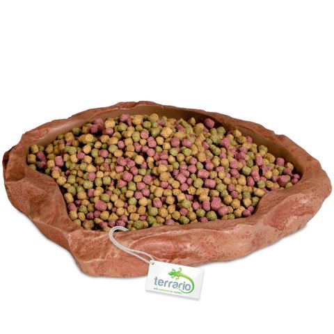 Terrario Natural Bowl - Miska do Terrarium 20x17x3 cm Terrario