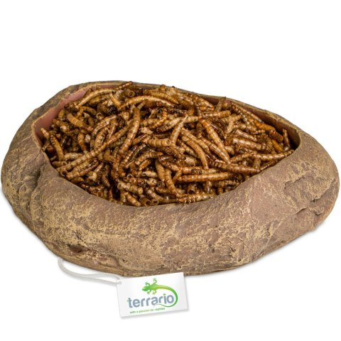 Terrario Rock Oasis L - Miska do Terrarium 17x15x4,5 cm Terrario
