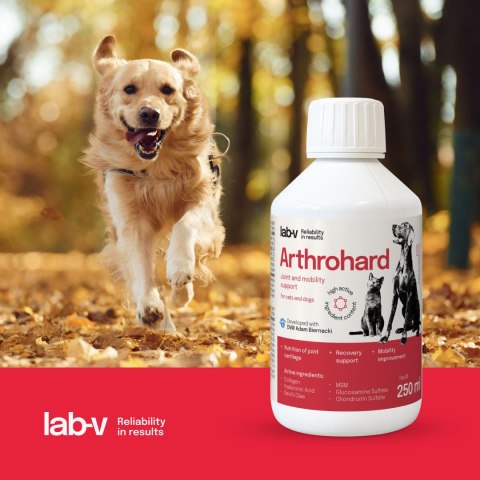 Arthrohard® Preparat Wspomagający Prawidłowy Rozwój I Funkcjonowanie Stawów U Psów I Kotów - Kolagen, Glukozamina, Chondroityna, LAB-V