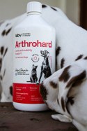 Arthrohard® Preparat Wspomagający Prawidłowy Rozwój I Funkcjonowanie Stawów U Psów I Kotów - Kolagen, Glukozamina, Chondroityna, LAB-V