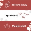 Arthrohard® Preparat Wspomagający Prawidłowy Rozwój I Funkcjonowanie Stawów U Psów I Kotów - Kolagen, Glukozamina, Chondroityna, LAB-V