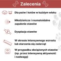 Arthrohard® Preparat Wspomagający Prawidłowy Rozwój I Funkcjonowanie Stawów U Psów I Kotów - Kolagen, Glukozamina, Chondroityna, LAB-V