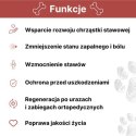 Arthrohard® Preparat Wspomagający Prawidłowy Rozwój I Funkcjonowanie Stawów U Psów I Kotów - Kolagen, Glukozamina, Chondroityna, LAB-V
