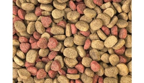 Dino Sucha Karma z Wołowiną dla Psów 20kg Cargill