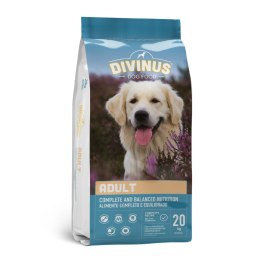 Divinus Adult Karma Sucha Dla Psów Dorosłych 20kg Divinus