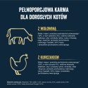 FELIX Tasty Shreds Karma dla dorosłych kotów Wiejskie Smaki w Sosie Felix