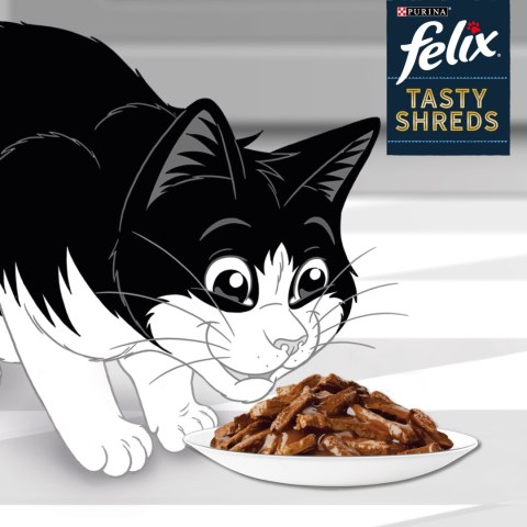 FELIX Tasty Shreds Karma dla dorosłych kotów Wiejskie Smaki w Sosie Felix