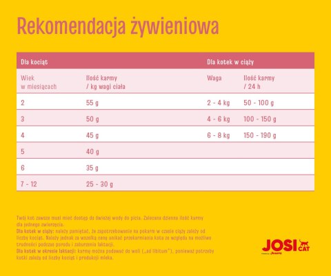 Josera Josicat Kitten Karma Sucha Dla Kociąt 10kg JosiCat
