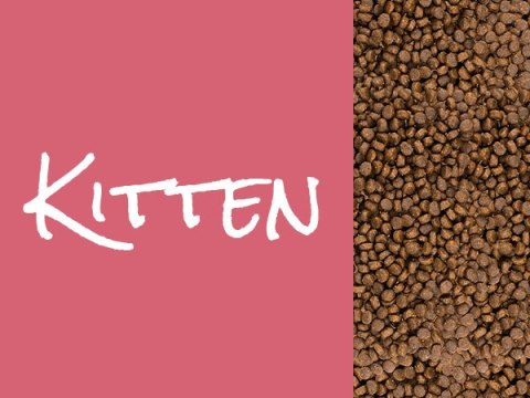 Josera Josicat Kitten Karma Sucha Dla Kociąt 10kg JosiCat
