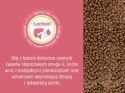 Josera Josicat Kitten Karma Sucha Dla Kociąt 10kg JosiCat