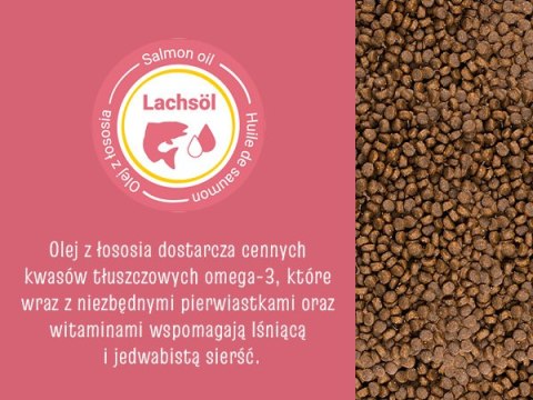 Josera Josicat Kitten Karma Sucha Dla Kociąt 10kg JosiCat