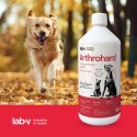 LAB-V Arthrohard Preparat Na Wsparcie Stawów Dla Psa I Kota 1000 Ml LAB-V