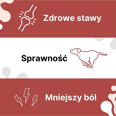 LAB-V Arthrohard Preparat Na Wsparcie Stawów Dla Psa I Kota 1000 Ml LAB-V