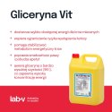 Lab-v Gliceryna Vit - Mieszanka Paszowa Uzupełniająca Dla Krów Mlecznych Zmniejszająca Ryzyko Wystąpienia Ketozy 20kg LAB-V