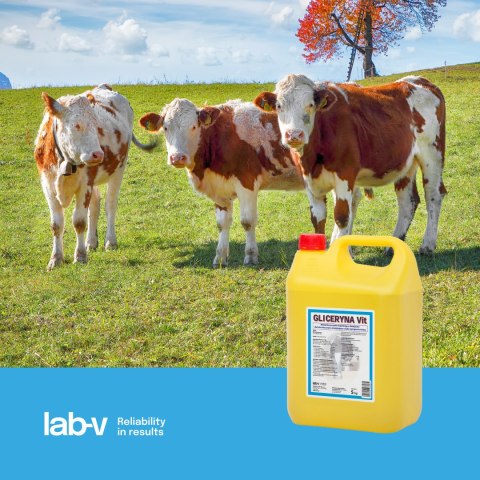 Lab-v Gliceryna Vit - Mieszanka Paszowa Uzupełniająca Dla Krów Mlecznych Zmniejszająca Ryzyko Wystąpienia Ketozy 20kg LAB-V