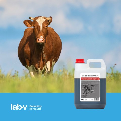 Lab-v Met-Energia - Mieszanka Paszowa Uzupełniająco-Dietetyczna Dla Krów Mlecznych Zmniejszająca Ryzyko Wystąpienia Ketozy 20kg LAB-V