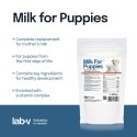 Lab-v Milk For Puppies-mleko dla szczeniąt 200g LAB-V