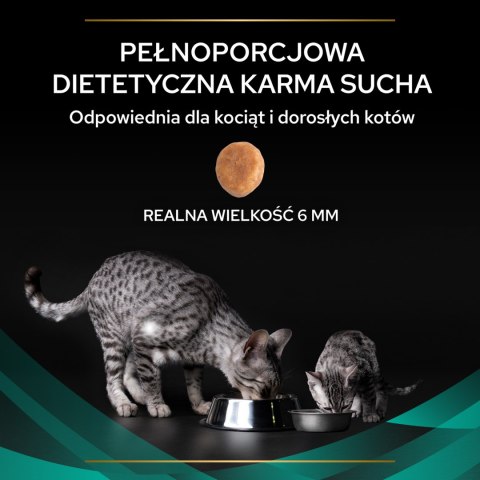 PURINA Pro Plan Veterinary Diets EN Gastrointestinal Cat 400g PRO PLAN Veterinary Diets