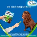 Purina Dentalife Activefresh Przysmak Dla Psa 142g 4 Sztuki Purina