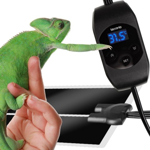 Terrario Amarillo 20W - mata grzewcza z termostatem LCD Terrario