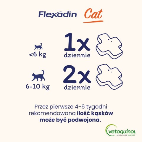 VETOQUINOL Flexadin Cat 60 kąsków Vetoquinol