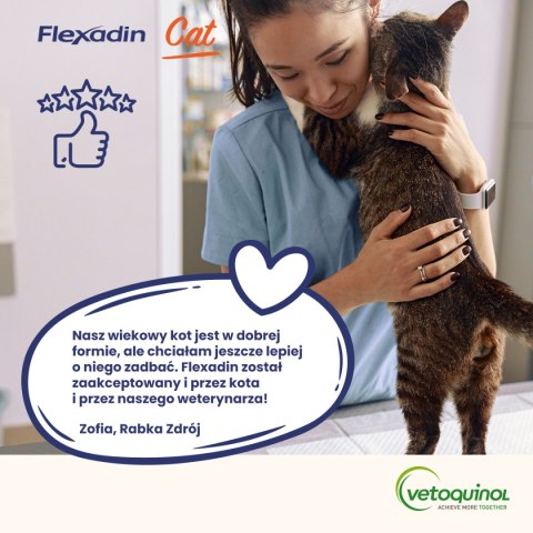 VETOQUINOL Flexadin Cat 60 kąsków Vetoquinol
