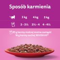 Whiskas Adult Klasyczne Posiłki W Sosie Dla Kota 40x85g Whiskas