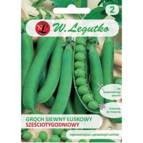 - ``` Groch siewny 'Sześciotygodniowy' - wczesny, gładkonasienny W.Legutko