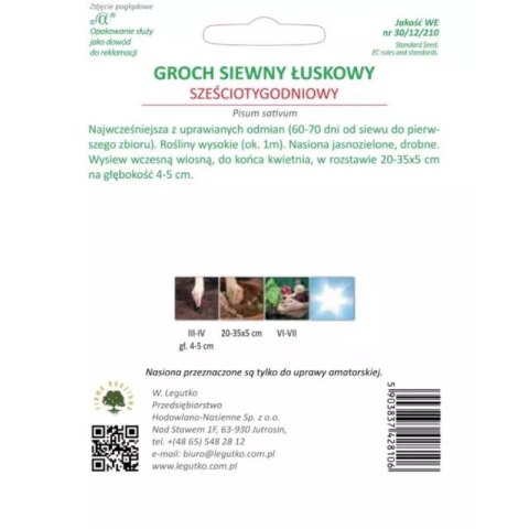 - ``` Groch siewny 'Sześciotygodniowy' - wczesny, gładkonasienny W.Legutko