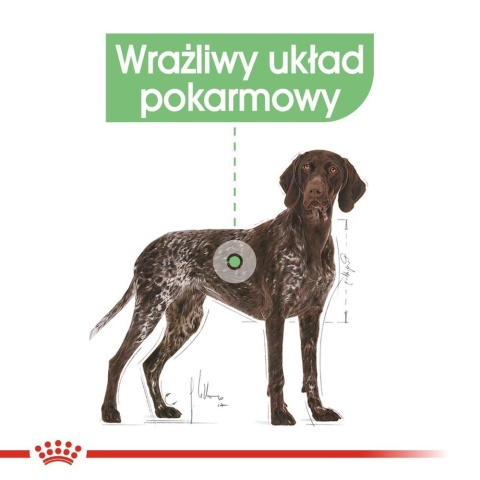 2 x 12 kg ROYAL CANIN CCN Maxi Digestive Care 12kg Royal Canin