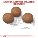 2 x 12 kg ROYAL CANIN CCN Maxi Digestive Care 12kg Royal Canin