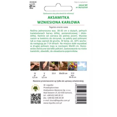 Aksamitka wzniesiona mieszanka karłowa W.Legutko