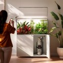 Aquario Exclusive 2.0 - zestaw CO2 z elektrozaworem i komputerem pH + butla 8l Aquario
