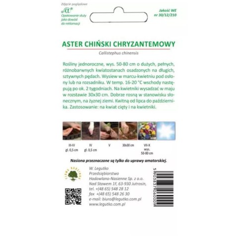 Aster chiński chryzantemowy mieszanka W.Legutko