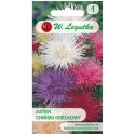 Aster chiński igiełkowy (Callistephus chinensis) - mieszanka W.Legutko