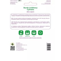 Burak ćwikłowy 'Cylindra' - korzeń cylindryczny W.Legutko