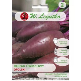 Burak ćwikłowy 'Opolski' - korzeń cylindryczny W.Legutko