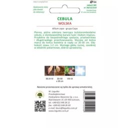 Cebula 'Wolska' - łuska słomkowożółta, odmiana późna W.Legutko