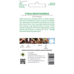 Cynia meksykańska mieszankowa W.Legutko