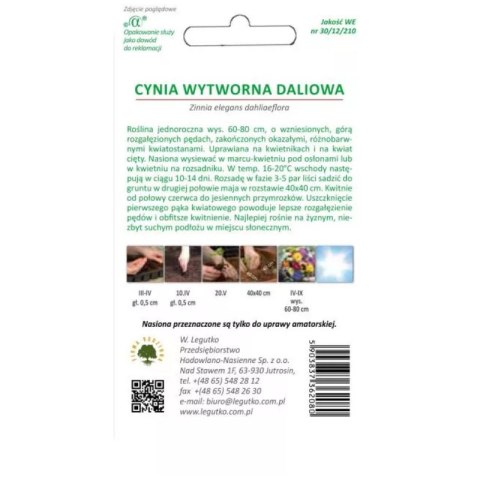 Cynia wytworna daliowa, mieszanka kolorów W.Legutko