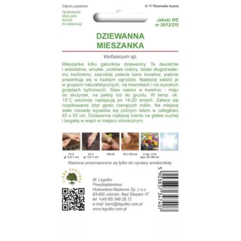 Dziewanna - mieszanka gatunków wieloletnich W.Legutko