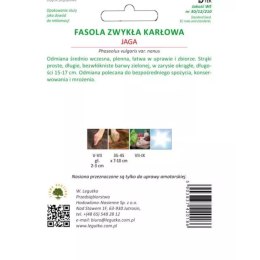 Fasola karłowa Jaga - zielone strąki W.Legutko
