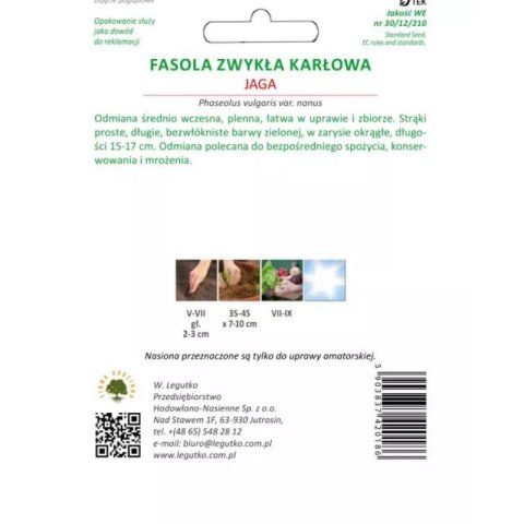 Fasola karłowa Jaga - zielone strąki W.Legutko