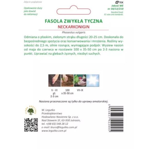 Fasola szparagowa tyczna 'Neckarkönigin' (Hilds Neckarkönigin) - zielonostrąkowa, śr. wczesna W.Legutko