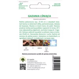 Gazania lśniąca mieszanka, nasiona otarte W.Legutko