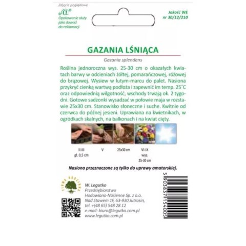 Gazania lśniąca mieszanka, nasiona otarte W.Legutko