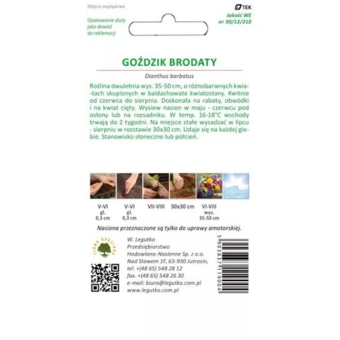 Goździk brodaty mieszankowy - kwiaty pojedyncze W.Legutko