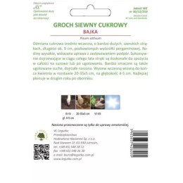 Groch cukrowy Bajka - odmiana późna W.Legutko